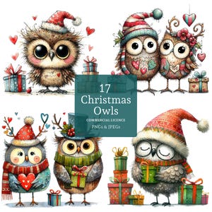 Clipart de coruja de Natal, 17 PNGs/JPGs de alta qualidade, imagens festivas de coruja, pássaro fofo de inverno, artesanatos caprichosos de feriado, USO COMERCIAL | AR1114-1