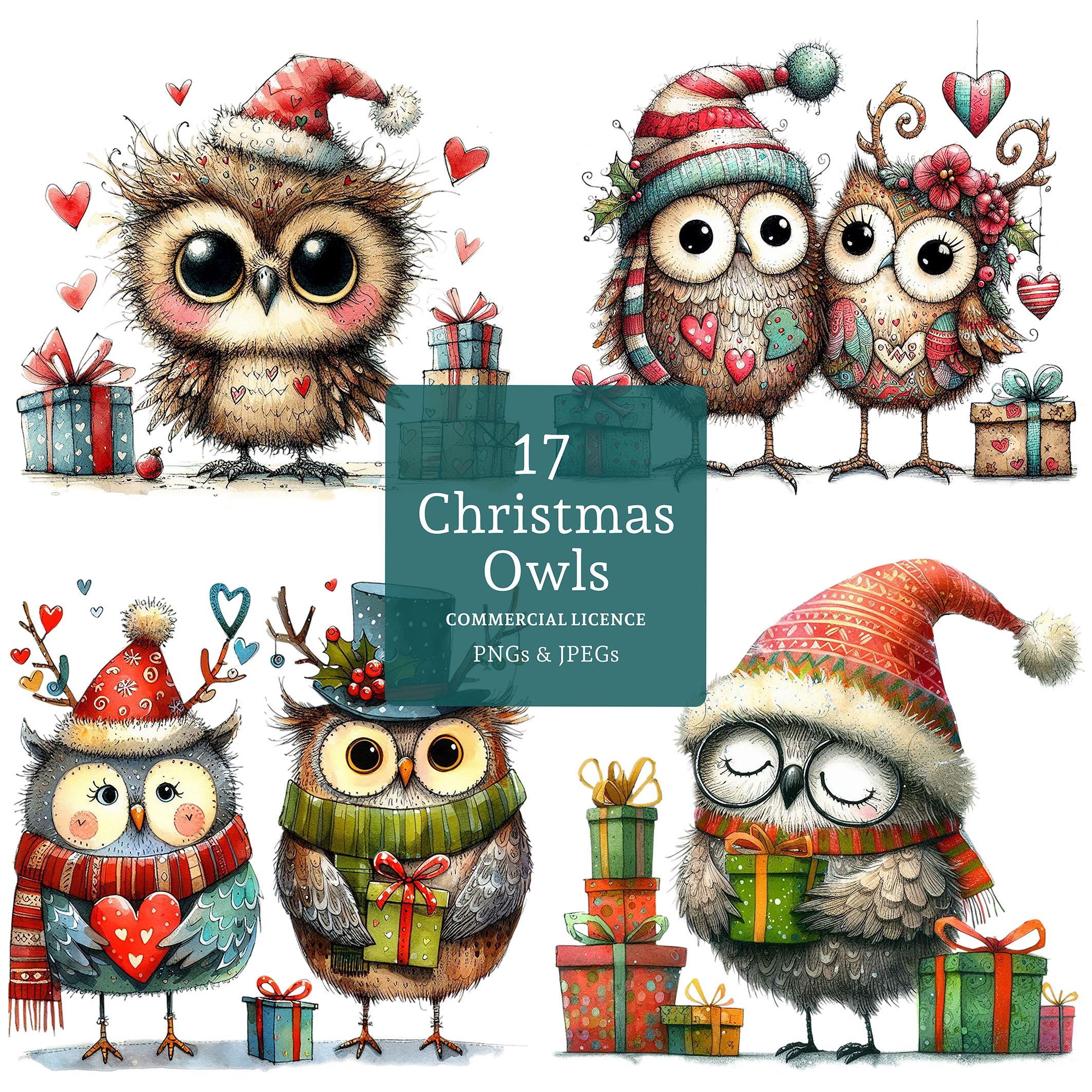 Christmas Owl Clipart, 17 High Quality PNGs/JPGs, Festive Owl Images, Cute Winter Bird, Whimsical Ho