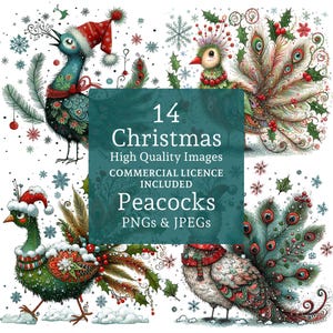 Christmas Peacocks Clipart 14 PNGs/JPGs, Whimsical Holiday Bird Art for Gifts, Scrapbooking & Decor COMMERCIAL USE Digital Download | AR0823