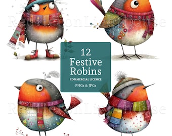 Quirky Christmas Robin Clipart, 10 High Quality Watercolour Whimsical Winter Bird PNGs/JPGs, Card Making, Digital/Paper Craft | BR0723-1