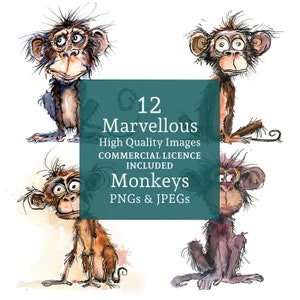 Funny Monkey Watercolour Clipart, 12 PNGs/JPGs, Quirky Jungle Animals, Cute Scruffy Chimp Designs COMMERCIAL USE Digital Download | AR0628-1