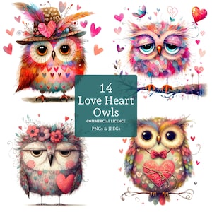 Clipart de búho con corazón de amor, 14 PNG/JPG de alta calidad, pájaros de San Valentín, manualidades en papel y digitales, diario caprichoso, USO COMERCIAL / BR0205