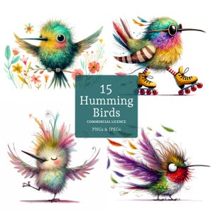 Quirky Hummingbird Clipart, 15 High Quality PNGs/JPGs, Caricature Bird Graphics, Whimsical Bird Lover Crafting, COMMERCIAL USE | BR0131