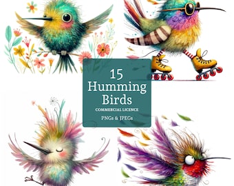 Quirky Hummingbird Clipart, 15 High Quality PNGs/JPGs, Caricature Bird Graphics, Whimsical Bird Lover Crafting, COMMERCIAL USE | BR0131