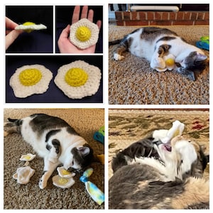May include: A collection of handmade crochet cat toys shaped like fried eggs. The toys feature a white base with a yellow yolk center. A gray and white cat is shown playing with the toys on a carpeted surface.