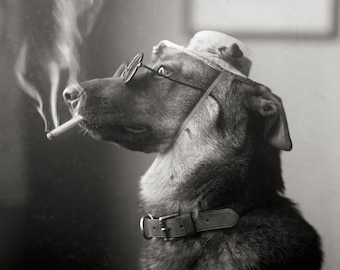 Portrait of a Dog, 1923. Digital Photo Download. Vintage Black & White Photograph. Curiosity, Unusual, Oddity, 1920s, 20s.