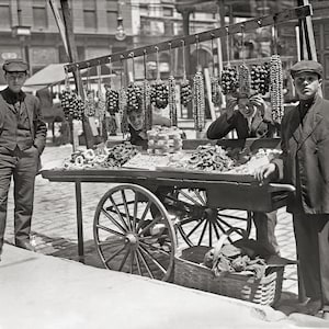 Little Italy Food Cart, 1908. Vintage Photo Reproduction Print. Black & White Photograph. New York, Italian Food, Feast, Historical.