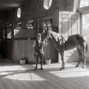 Horse Stable, 1933. Vintage Photo Reproduction Print. Black & White Photograph. Horses, Equestrian, Polo, 1930s, 30s, Historical.