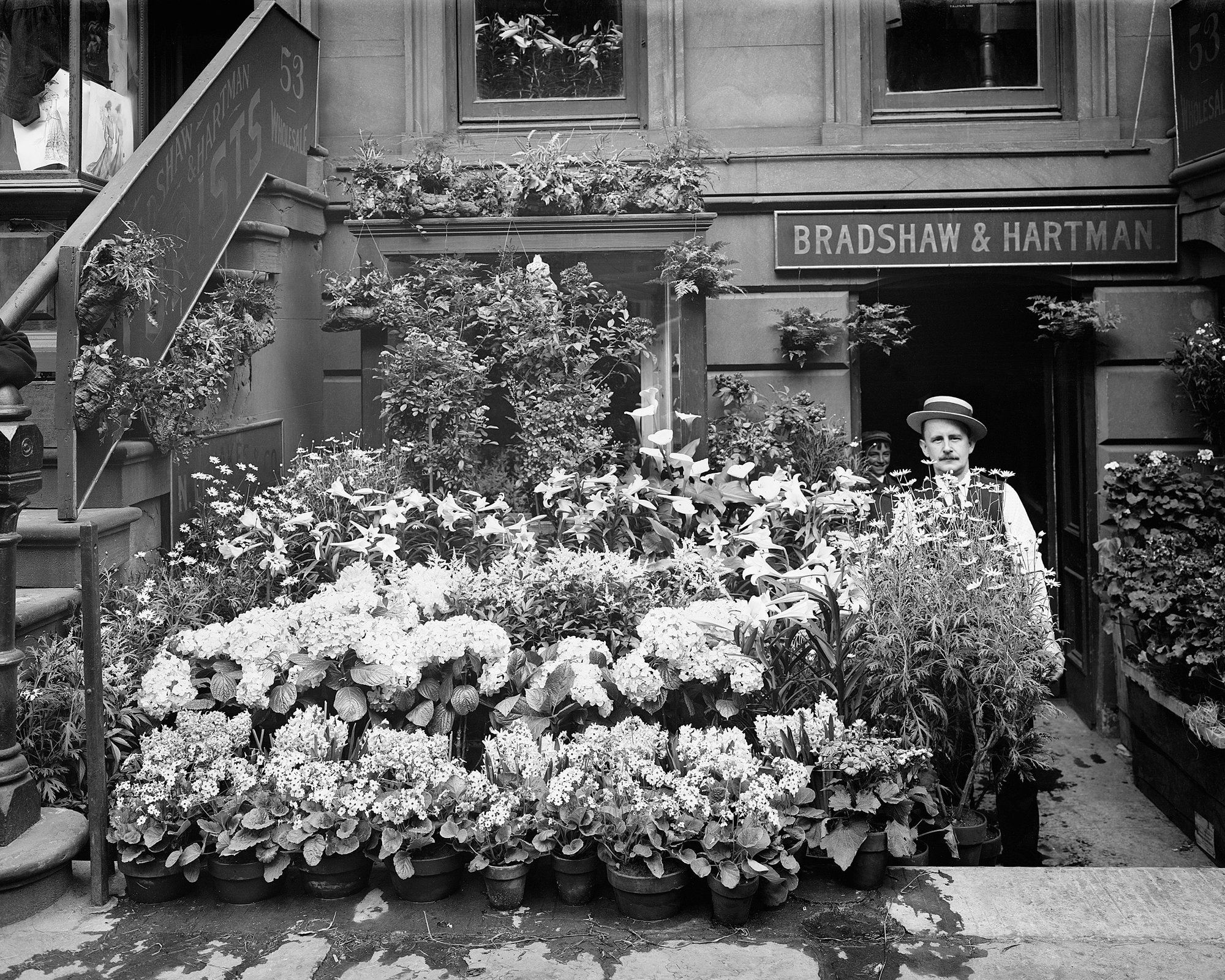 New York City Flower Shop, 1905. Vintage Photo Reproduction