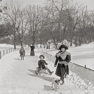 Winter in Central Park, 1900. Vintage Photo Reproduction Print. Black & White Photograph. New York, Snow, Storm, Nature, Sledding.
