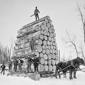 Lumberjacks At Work, 1890. Vintage Photo Reproduction Print. Black & White Photograph. Loggers, Horses, Michigan, Winter, Snow.