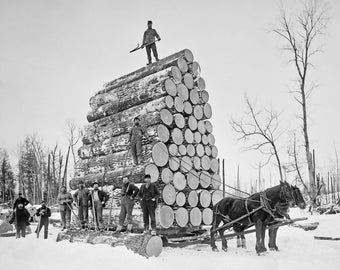 Lumberjacks At Work, 1890. Vintage Photo Reproduction Print. Black & White Photograph. Loggers, Horses, Michigan, Winter, Snow.