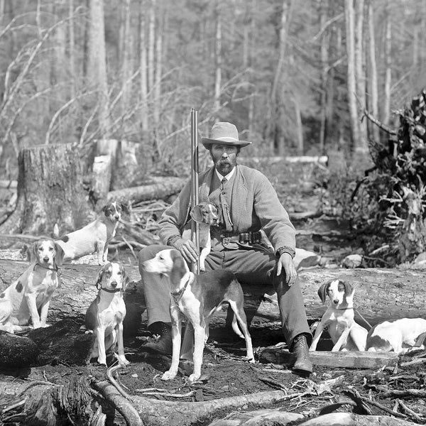 Hunter With His Hounds, 1897. Vintage Photo Reproduction Print. Black & White Photograph. Dogs, Hunting, Deer, Outdoors, 1800s.