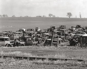 May include: A black and white photograph showing a large collection of vintage automobiles abandoned in an open field. The cars are various models from the early twentieth century, showing signs of rust and decay, scattered across the grassy terrain.