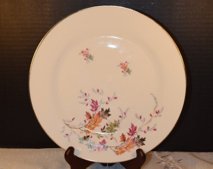 Chalfonte Indian Summer Dinner Plate Vintage Saladmaster Etsy