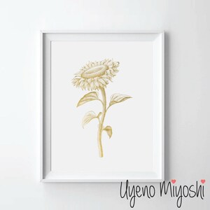 Sunflower Gold Foil Print, Sunflower Gold Print, Sunflower Art Print in Gold, Sunflower Print, Sunflower Gold Foil Art Print