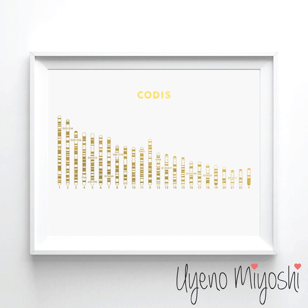 Combined DNA Index System Gold Foil Print, Gold Print, Custom Print in ...
