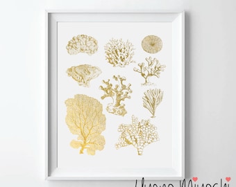 May include: A white framed print with a gold foil design of various coral species. The print is titled "Uyeno Miyoshi" at the bottom.