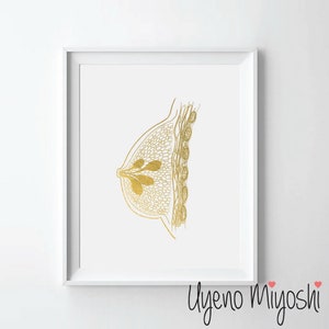 Mammary Gland Anatomy Gold Foil Print, Female Breast Anatomy Gold Print, Mammary Gland Anatomy Art Print, Breast Gold Foil Art Print