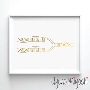 DNA Replication Mechanism Gold Foil Print, Gold Print, Custom Print in Gold,Art Print, DNA Strand Gold Foil Art Print, DNA rNA Print