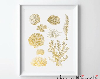 May include: Gold foil print of various coral and sea life on a white background. The print is framed in a white frame. The artist's name, Uyeno Miyoshi, is printed in black at the bottom of the print.