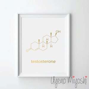 May include: A white framed print with a gold chemical structure of testosterone. The text "testosterone" is written below the structure. The artist's signature "Uyeno Miyoshi" is written in cursive at the bottom of the print.