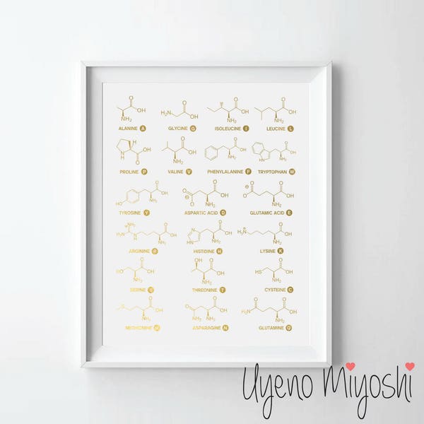 Amino Acids Molecule Structure Gold Foil Print, Gold Print, 20 Essential Amino Acids Chemical Structure Gold Foil Art Print