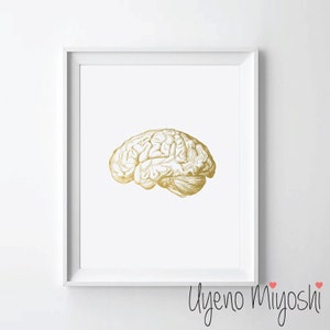 Human Brain Anatomy I Gold Foil Print, Gold Print, Custom Print in Gold, Illustration Art Print, Human Brain Gold Foil Art Print