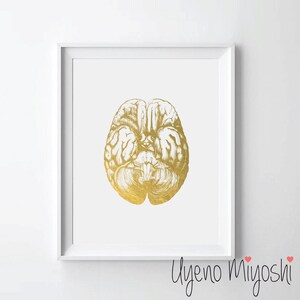 Può includere: Una stampa in foglia d'oro di un cervello umano su sfondo bianco. La stampa è incorniciata in una cornice bianca.