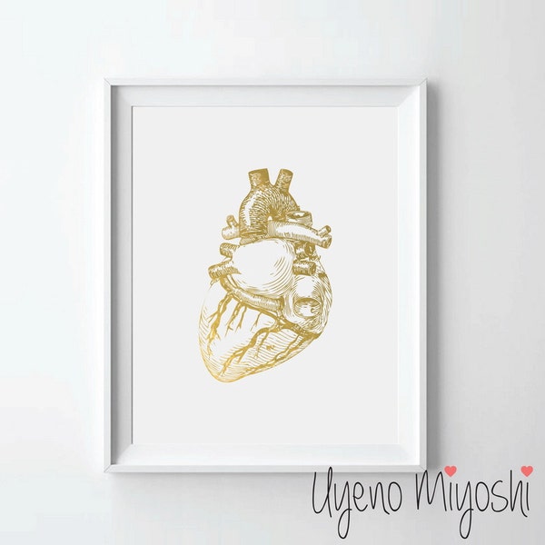 Human Heart Anatomy I Gold Foil Print, Gold Print, Custom Print in Gold, Illustration Art Print, Human Heart Posterior Gold Foil Art Print