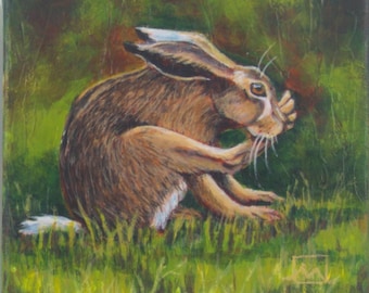 6" x 6", "Bath Time ", wild hare cleaning it's paw, original acrylic painting 1.5" wrapped canvas, hares and rabbits, animal lover