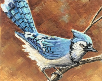 6 x 6" Blue Jay 2 original acrylic painting on 1.5" gallery wrapped canvas, original blue jay bird paintings, bird lover, art gift men