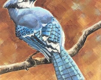 6 x 6" Blue Jay 1 original acrylic painting on 1.5" gallery wrapped canvas, original blue jay bird paintings, bird lover, art gift men