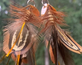 Carnelian Shell Feather Flash Earrings