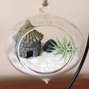 Miniature teardrop glass globe terrarium DIY kit, fairy garden gnome home, indoor gardening