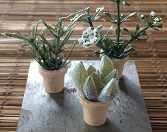 Set of 3 miniature artificial potted plants succulents flowers, FREE SHIPPING with another item, fairy garden accessory, terrarium accents