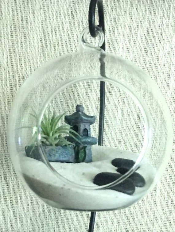 Air Plant Diy Zen Garden Globe Terrarium Kit For Home And Air Plant Diy Zen Garden Globe, Indoor Zen Garden Kit