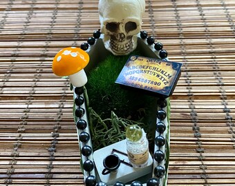 Gothic fairy garden kit Halloween skull coffin DIY