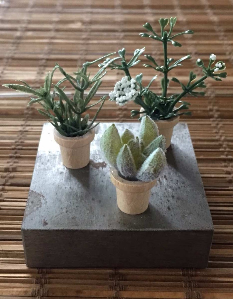 Set of 3 Miniature Artificial Potted Plants Succulents Etsy