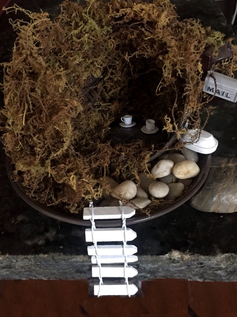 DIY Moss Teacup Fairy Garden Kit...mini Garden for Indoor Etsy