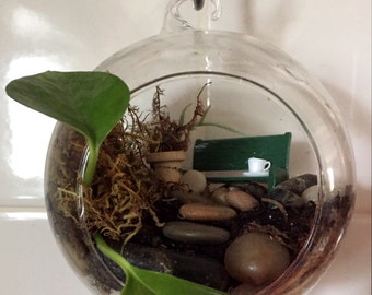 DIY glass globe fairy garden kit...mini gardens for indoor gardening
