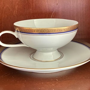 Vintage teacup and saucer / Rosenthal Continental China / Electra / 1960s / fairy garden / teacup garden /terrarium