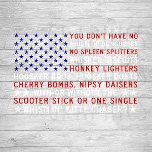 Joe Dirt Firework quote | American Flag | SVG PNG | Digital Download | 4th of July | Independence day