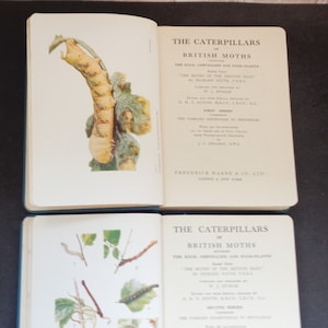 Puede incluir: Dos libros abiertos con páginas blancas y texto negro. Los libros se titulan "The Caterpillars of British Moths". El primer libro tiene una ilustración a color de una oruga verde en una hoja. El segundo libro tiene una ilustración en blanco y negro de cinco orugas en ramas.