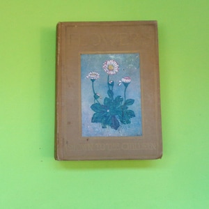 Könnte beinhalten: Ein Vintage-Buch mit dem Titel "FLOWERS SHOWN TO THE CHILDREN" mit einem beigefarbenen Einband. Das Cover zeigt eine blau-grüne Illustration von Gänseblümchen mit weißen Blütenblättern. Das Buch befindet sich vor einem hellgrünen Hintergrund.