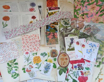 60pc Botanical Themed Junk Journal Pack  - Vintage Paper -Large A4 Pack - Scrapbooking, Crafting, Altered Art, Card Making, Junk Journal