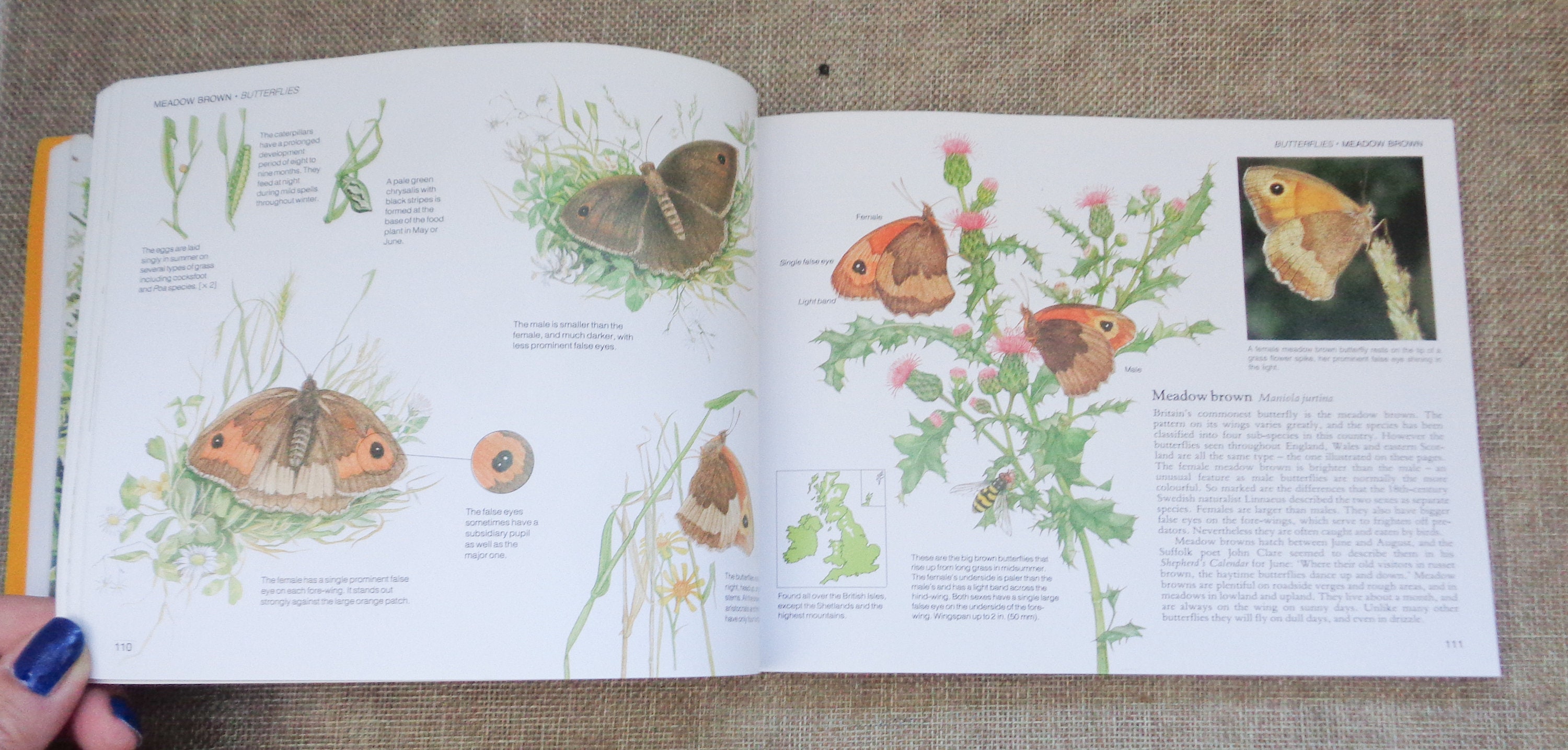 Reader's Digest Nature Lover's Library - Field Guide to the