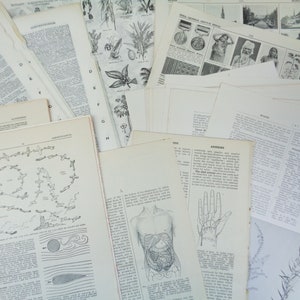50 x Dicionário Misto Antigo e Vintage/Páginas de Enciclopédia - Ideal para Artesanato/Fabricação de Cartões/Artes em Papel/Papel Vintage/Scrapbooking