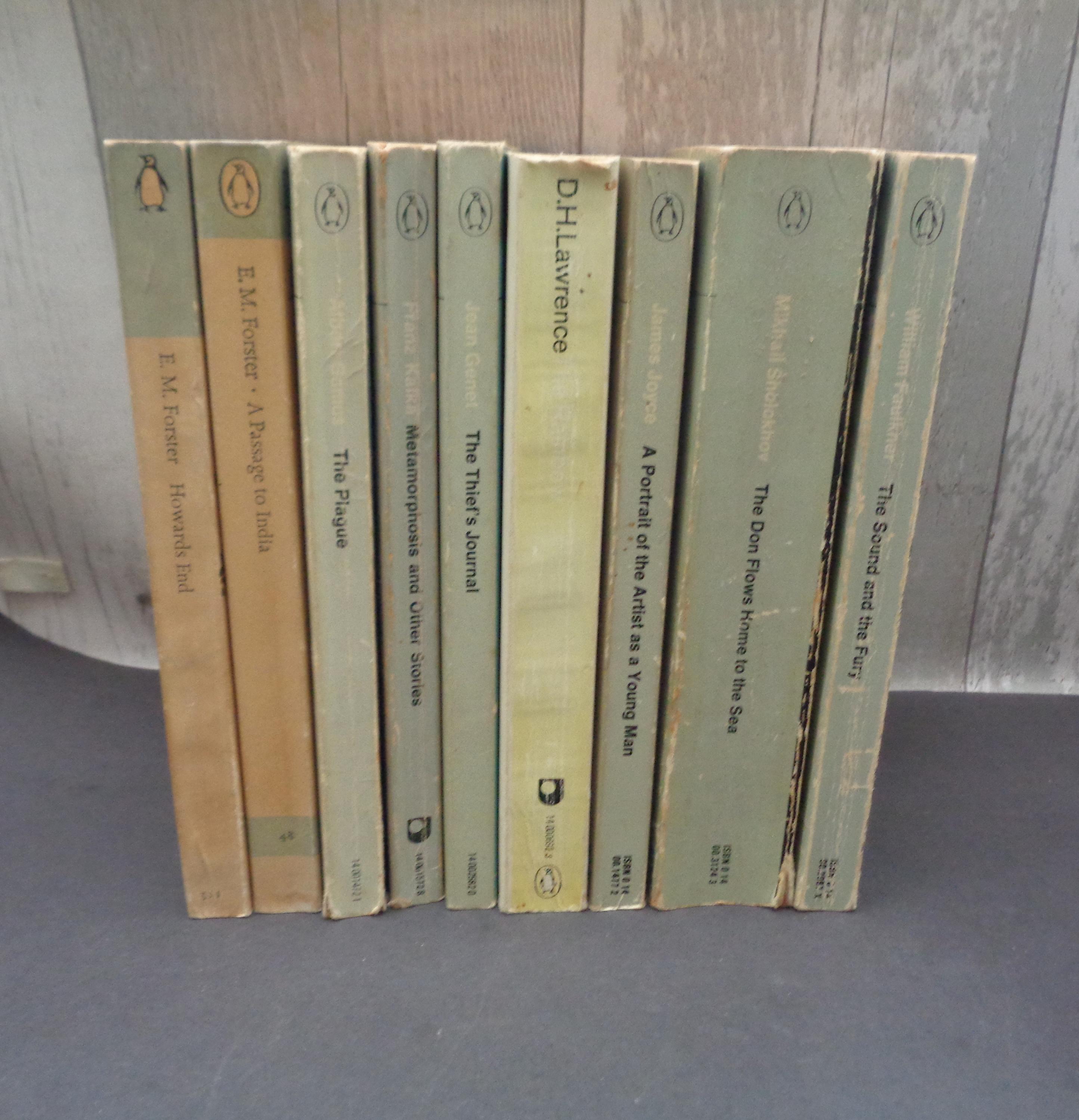 Vintage Penguin Modern Classics Paperback Books (grey Spines