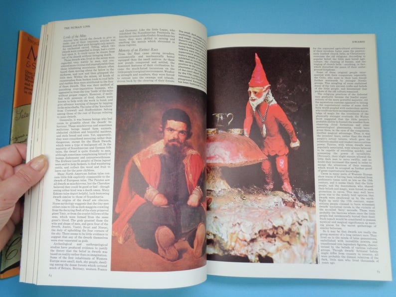 May include: An open book with a red and white illustration of a man in a red and black robe. The book is open to a page with text about the history of little people. The opposite page has a color photograph of a small red gnome standing on a large mushroom.